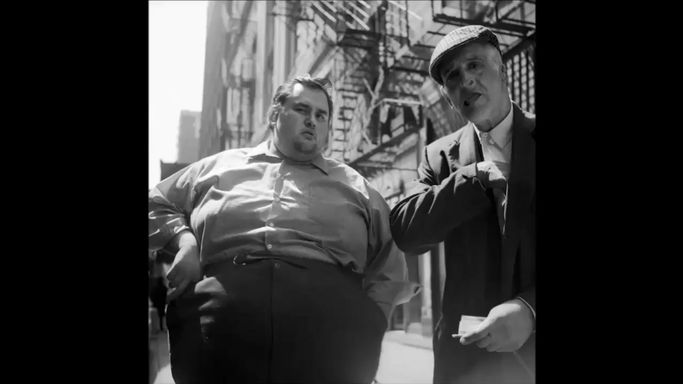Poema a Vivian Maier